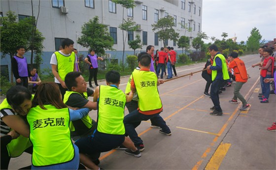 2019春季運動會之拔河比賽